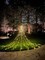 350LED Christmas String Lights with 12" Star Tree Topper – 8 Lighting Modes, Warm White, Waterproof Outdoor/Indoor Decoration for Christmas, New Year, Yard, Garden, Home